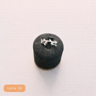 Bague Taille 58